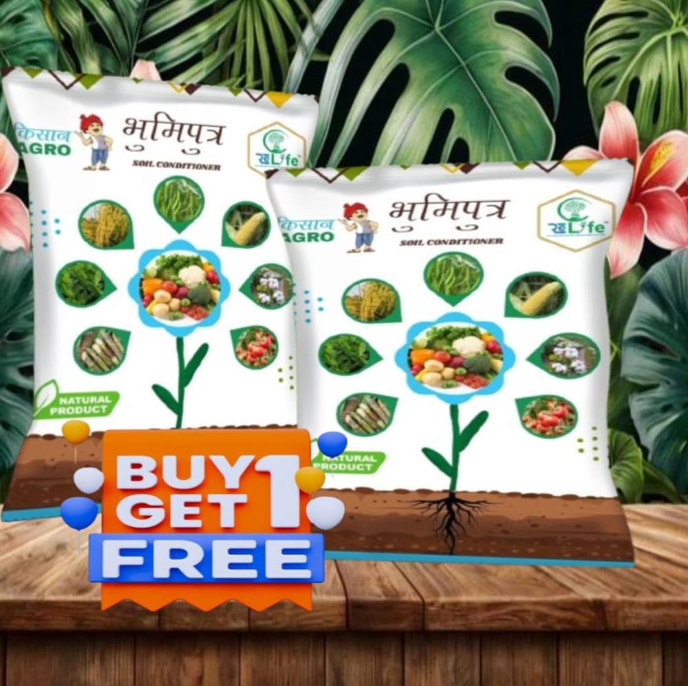 BHUMIPUTRA  Buy 1 Get 1